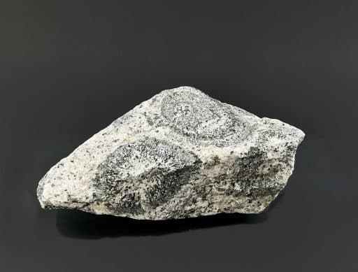 Orbicular Granite