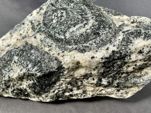 GR127 Orbicular Granite - Image 5