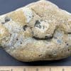 Prairie Agate