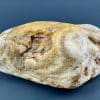 GR200 Prairie Agate - Image 5