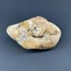 GR200 Prairie Agate - Image 3
