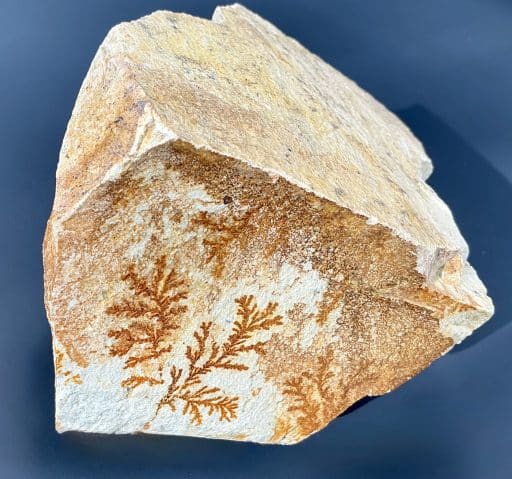 Dendritic Limestone