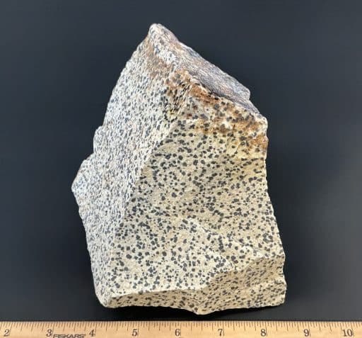 BCR319 Dalmatian Stone - Image 4