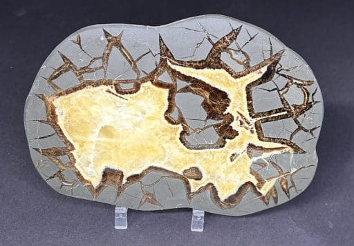 SEP312 Septarian Slab