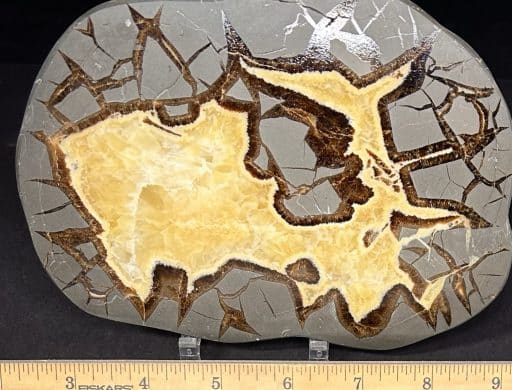 SEP312 Septarian Slab - Image 3