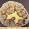 SEP106 Septarian Slab - Image 2